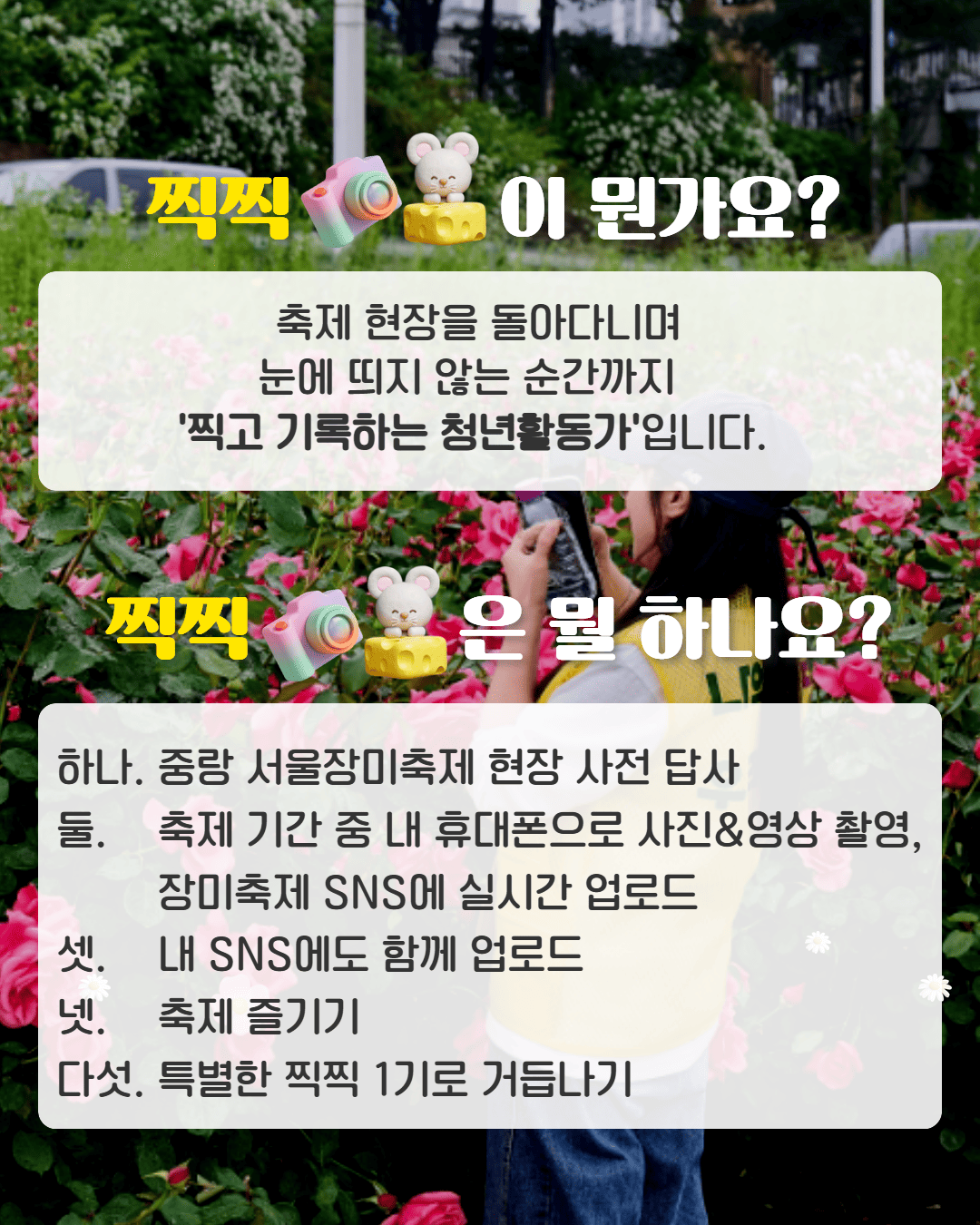 찍찍 모집 카드뉴스 2